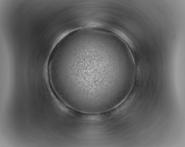 X0000113741047200909301007