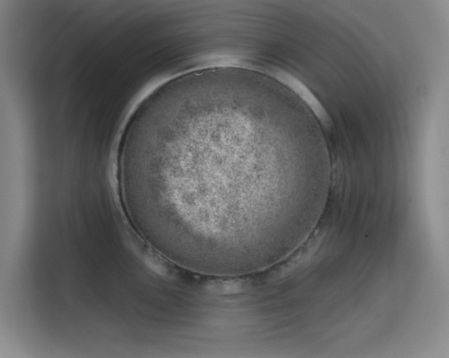 X0000113741051200909301007