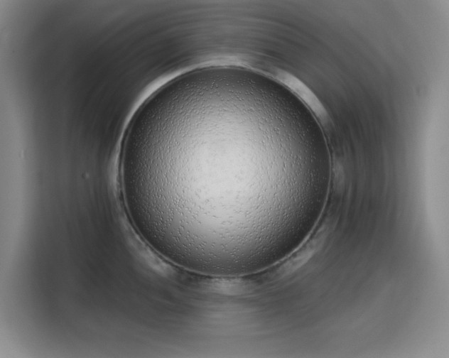 X0000113741052200909301007