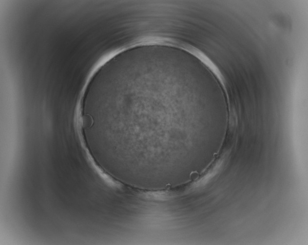 X0000113741053200909301007