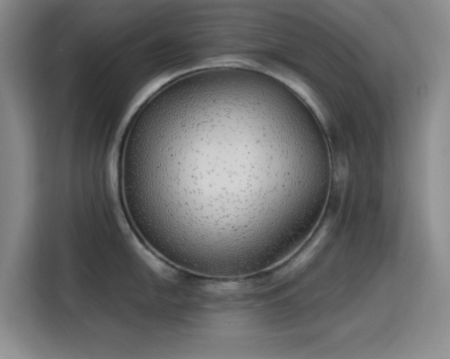 X0000113741054200909301007