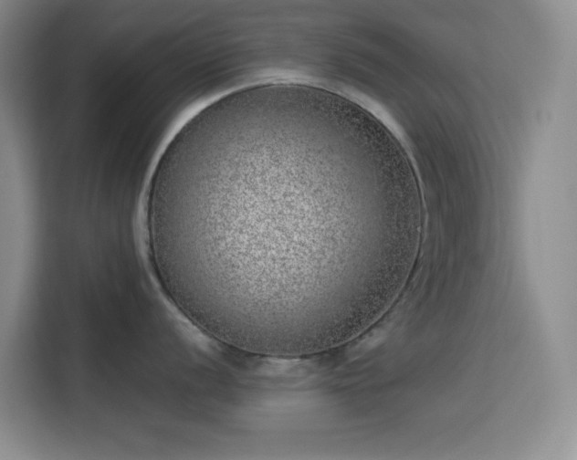 X0000113741056200909301007