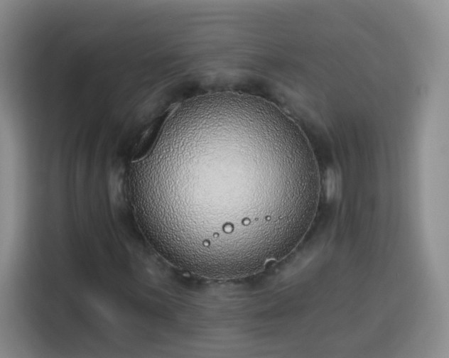 X0000113741059200909301007