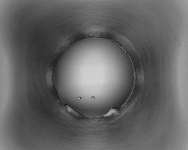 X0000113741060200909301007