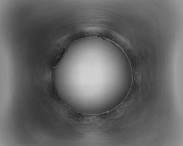 X0000113741061200909301007