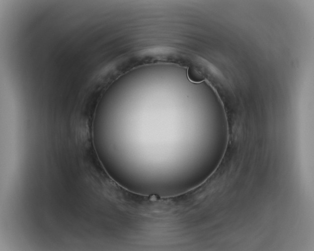 X0000113741062200909301007