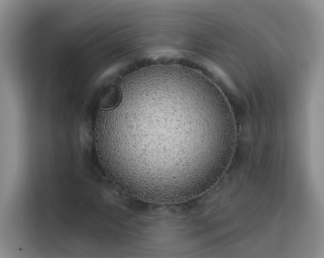 X0000113741063200909301007