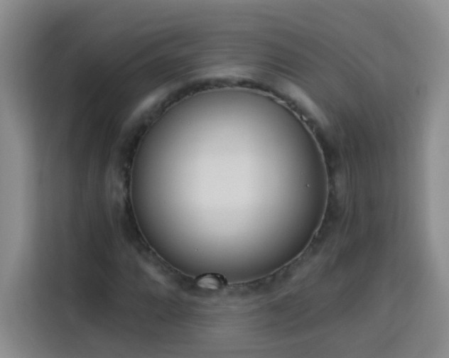 X0000113741064200909301007