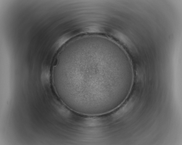 X0000113741065200909301007