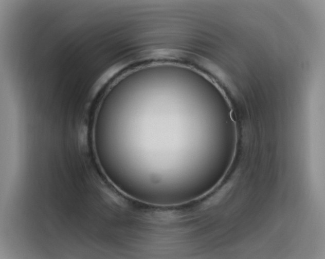 X0000113741066200909301007