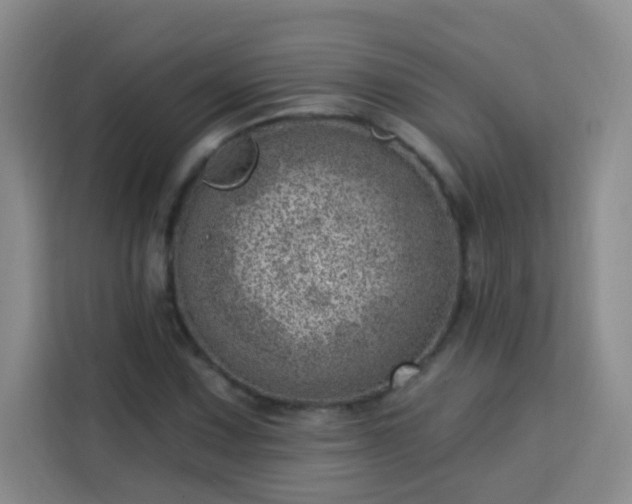 X0000113741067200909301007