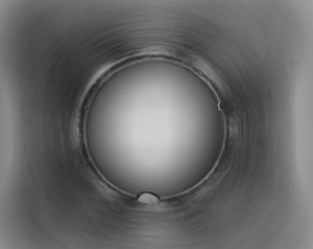 X0000113741068200909301006