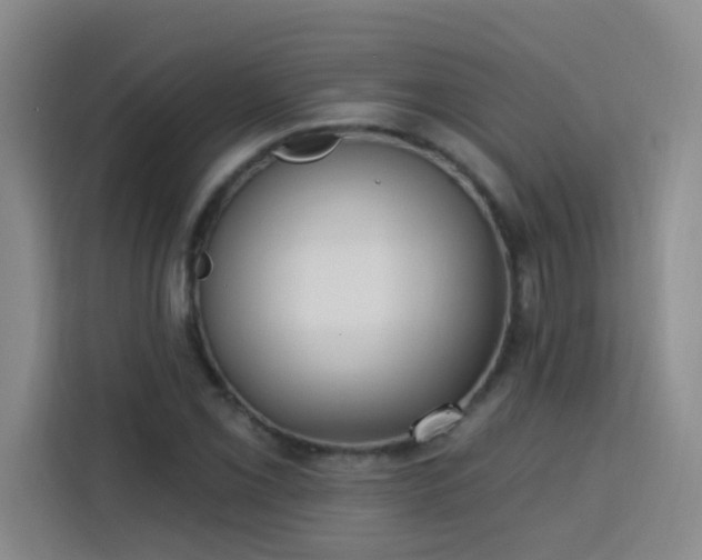 X0000113741069200909301006