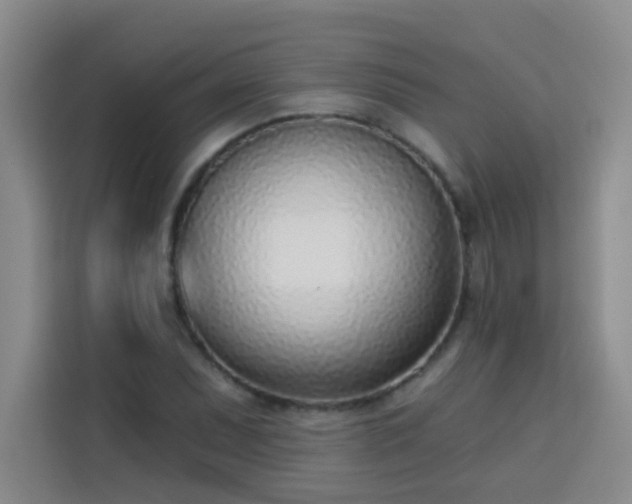 X0000113741071200909301006