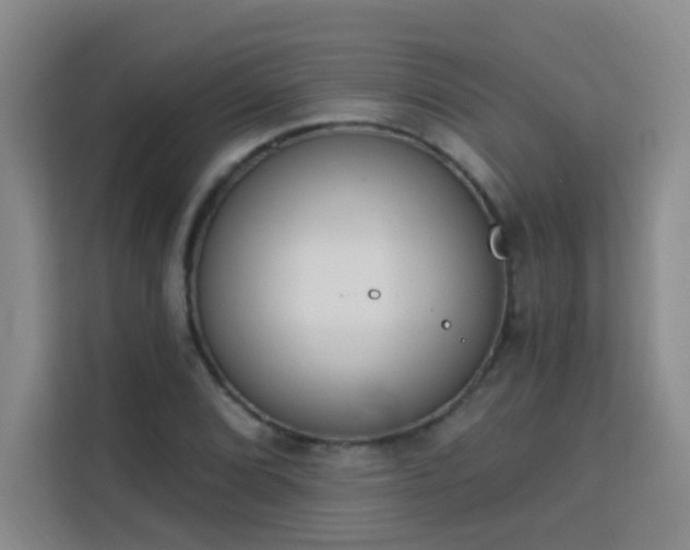 X0000113741072200909301006