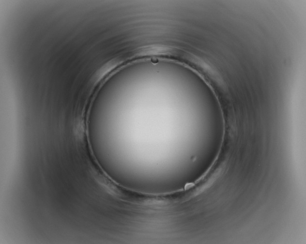 X0000113741073200909301006