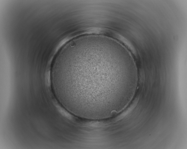 X0000113741075200909301006