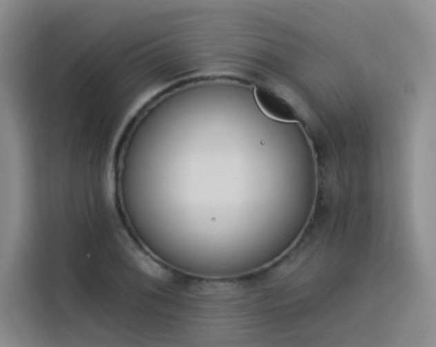 X0000113741076200909301006