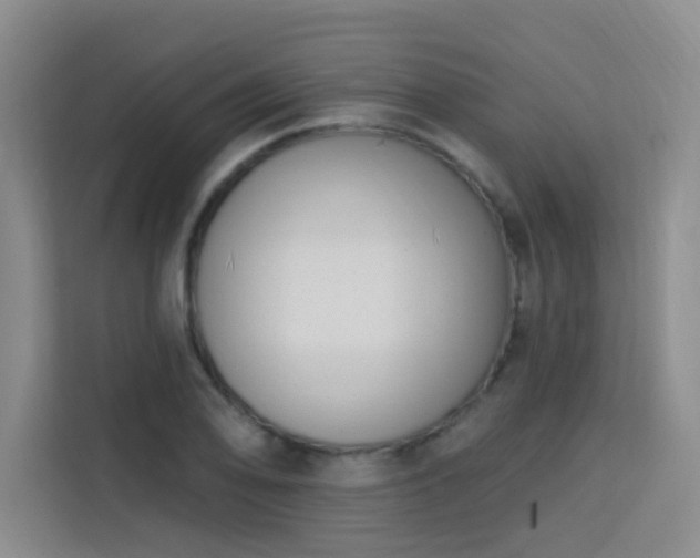 X0000113741078200909301006