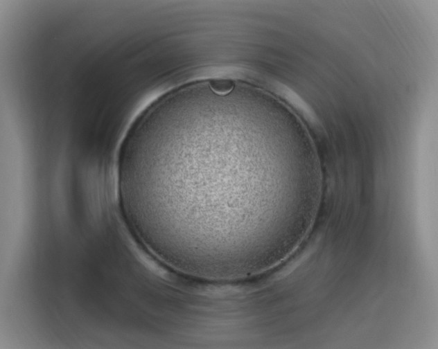 X0000113741079200909301006