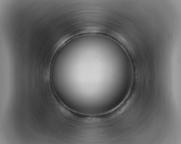 X0000113741081200909301006