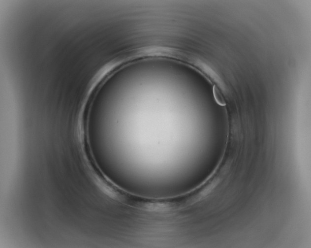 X0000113741082200909301006