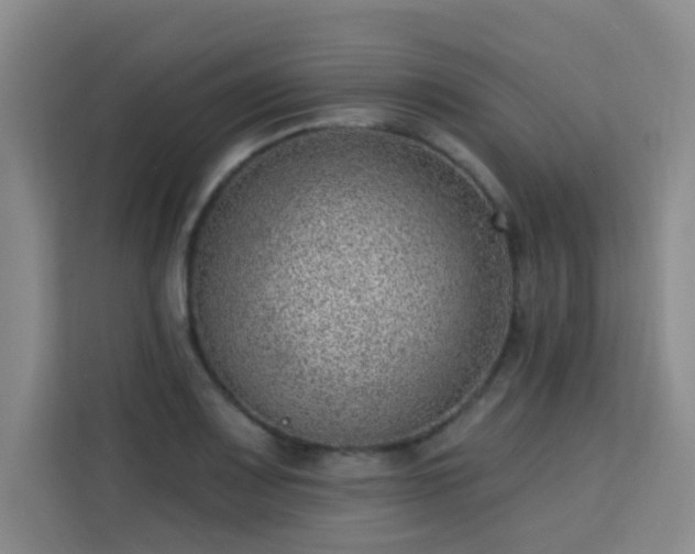 X0000113741083200909301006