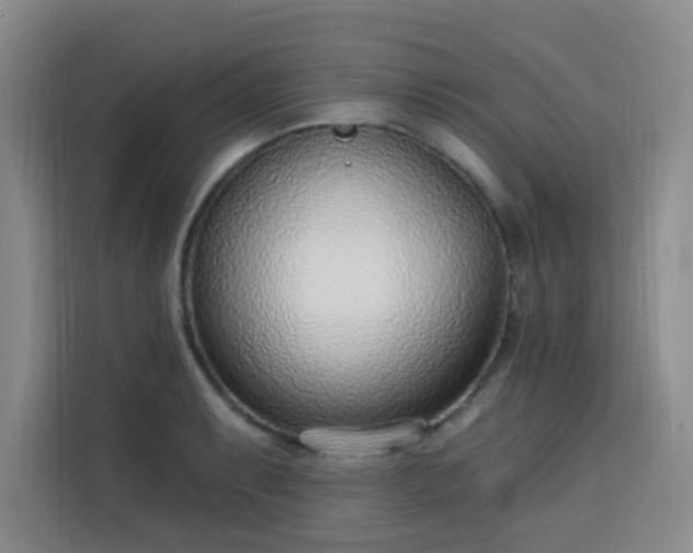 X0000113741087200909301006