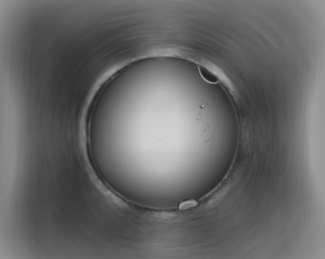 X0000113741088200909301006