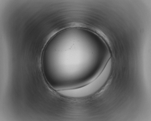 X0000113741089200909301006