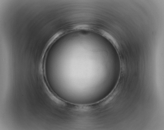 X0000113741090200909301006