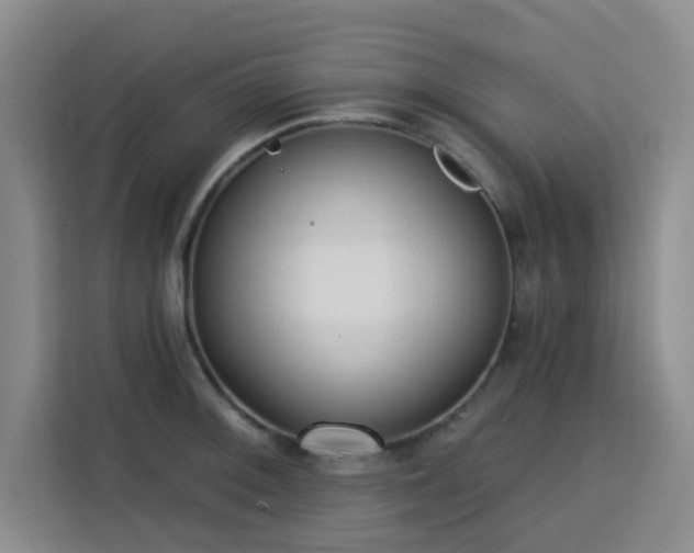 X0000113741092200909301006