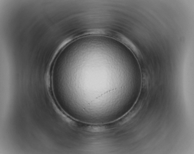 X0000113741095200909301006