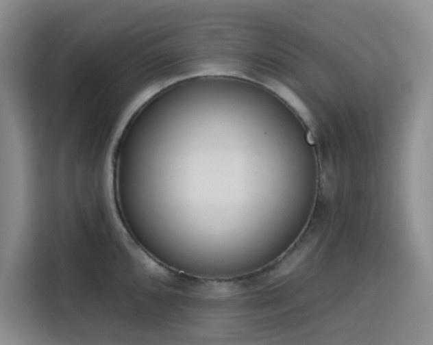 X0000113741096200909301006