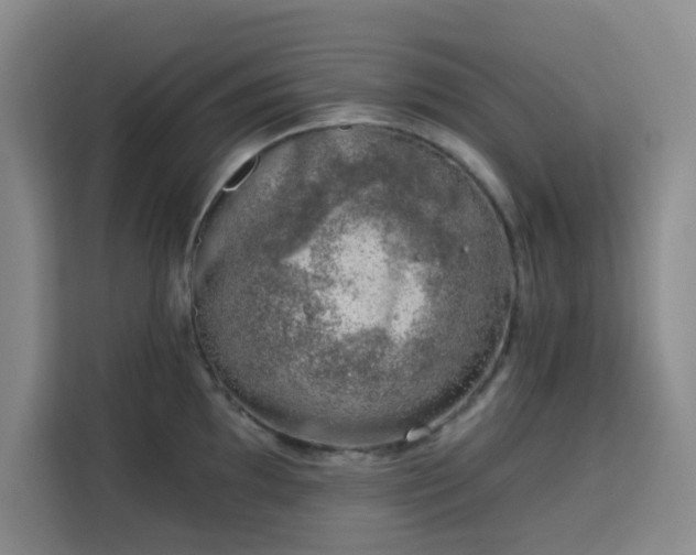 X0000113741097200909301006