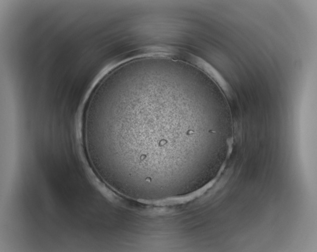 X0000113741099200909301006