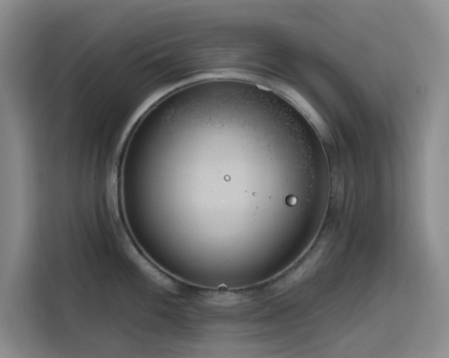 X0000113741100200909301006