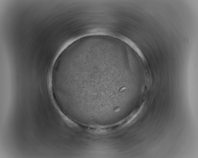 X0000113741101200909301006