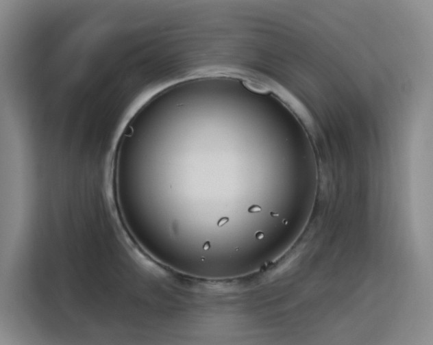 X0000113741102200909301006