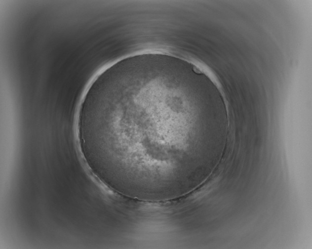 X0000113741104200909301006