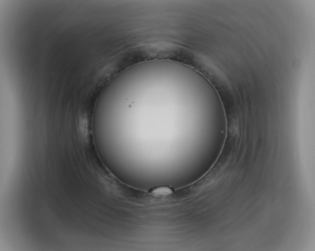 X0000113741108200909301005