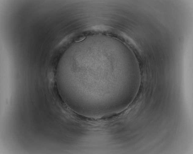 X0000113741110200909301005