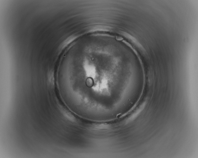 X0000113741113200909301006