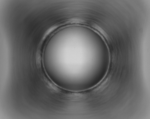 X0000113741115200909301006