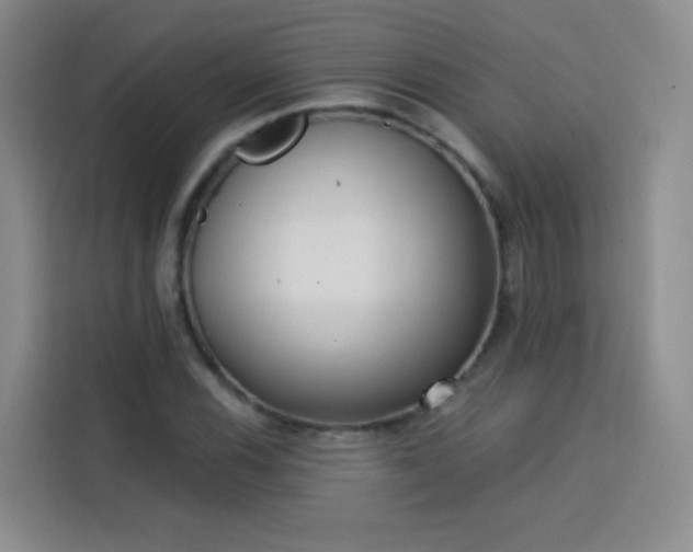 X0000113741116200909301006