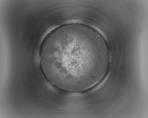 X0000113741117200909301006