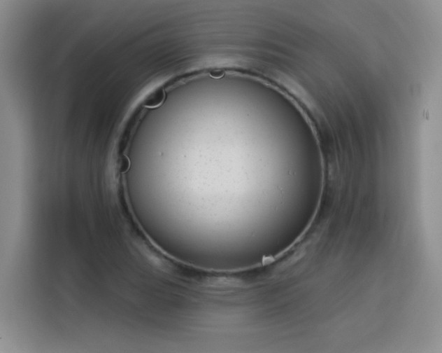 X0000113741119200909301006