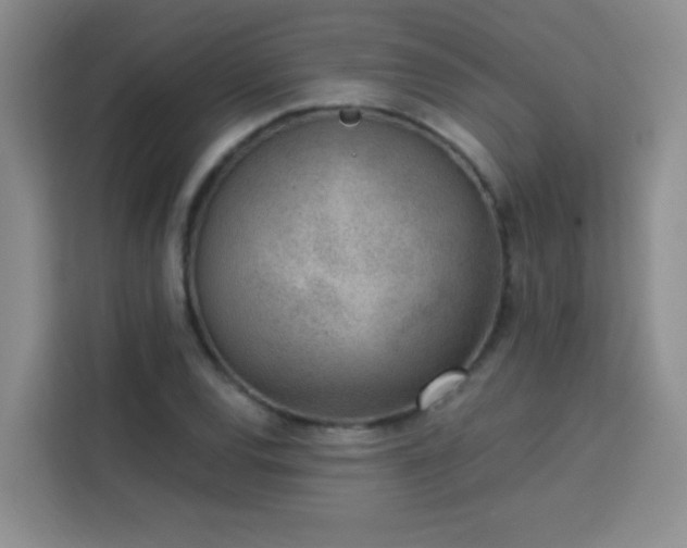 X0000113741120200909301006