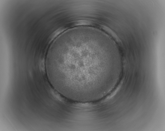 X0000113741121200909301006