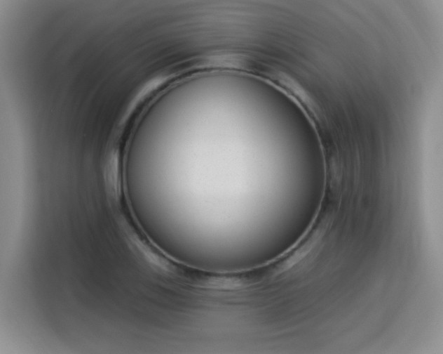 X0000113741123200909301006